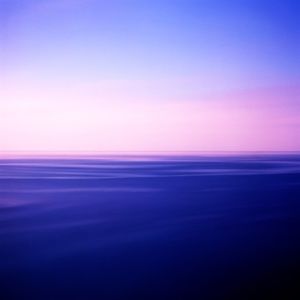 Meet your Posher, Damaris